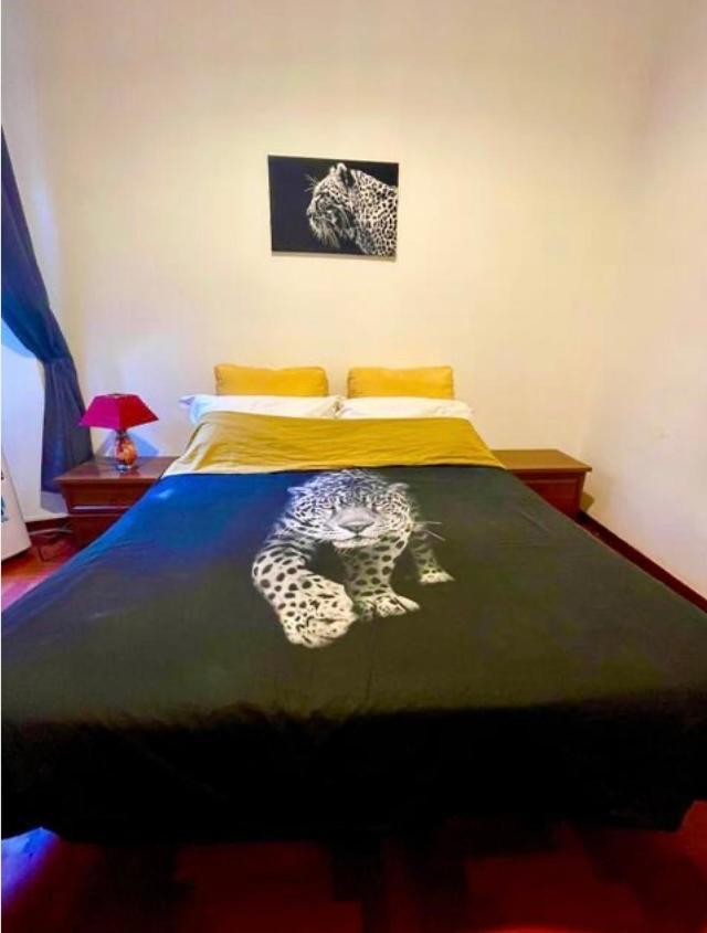 ローマParisa Houseアパートメント エクステリア 写真